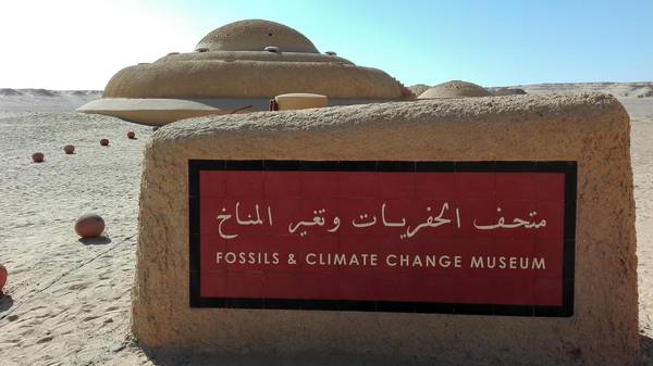 Egitto: primo Museo al mondo dei fossili e dei mutamenti climatici