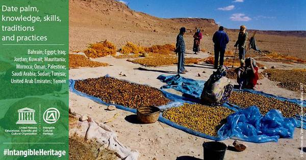 Palma da dattero e le sue tradizioni patrimoni Unesco