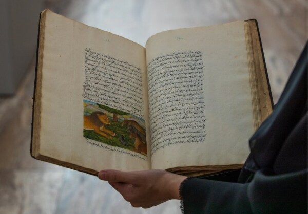 'One Book, one Doha': la più grande campagna per la promozione della letteratura araba in Qatar