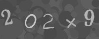 Gentilmente scrivi le lettere di questa immagine captcha nella casella di input