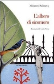 albero sicomoro